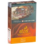 Табак для кальяна Afzal Mango Salsa — Манго Сальса 40гр. (Акциз)