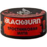 Табак для кальяна Burn Black Cane Mint — Тростниковая Мята 25гр.