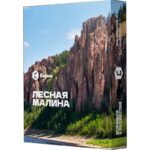 Табак для кальяна Сарма — Лесная Малина 25гр.