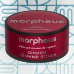 Смесь для кальяна MORPHEUS Ананас Тёмные ягоды 25гр