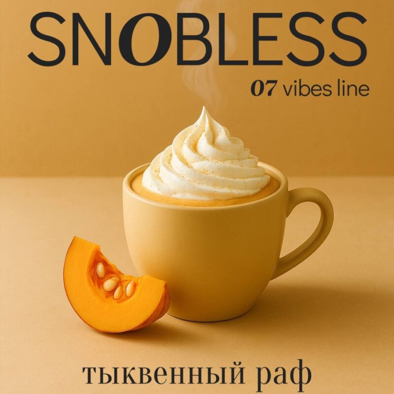 Смесь для кальяна SNOBLESS Vibes Line Pumpkin Raf Cofee Тыквенный Раф 200гр