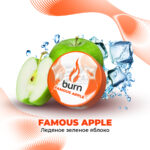 Табак для кальяна Burn Famous Apple Ледяное яблоко 25гр