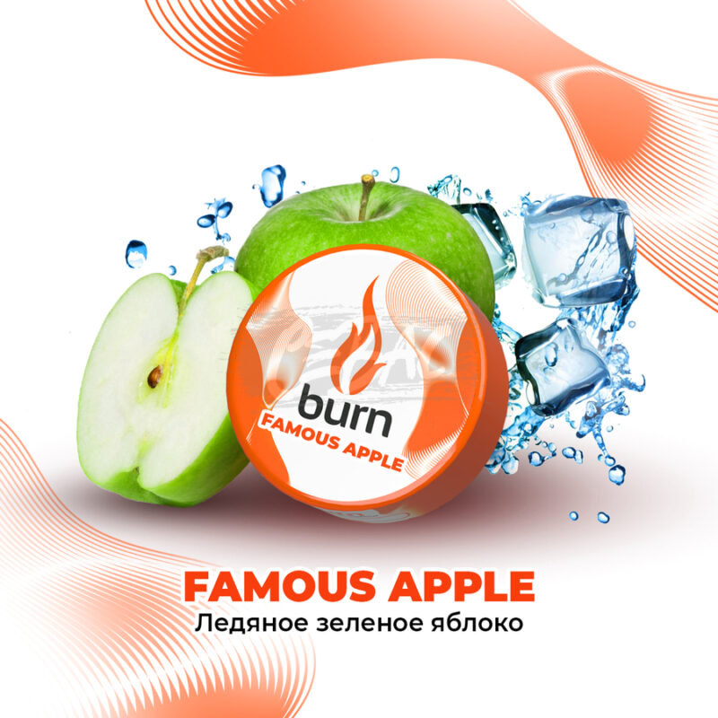 Табак для кальяна Burn Famous Apple Ледяное яблоко 25гр