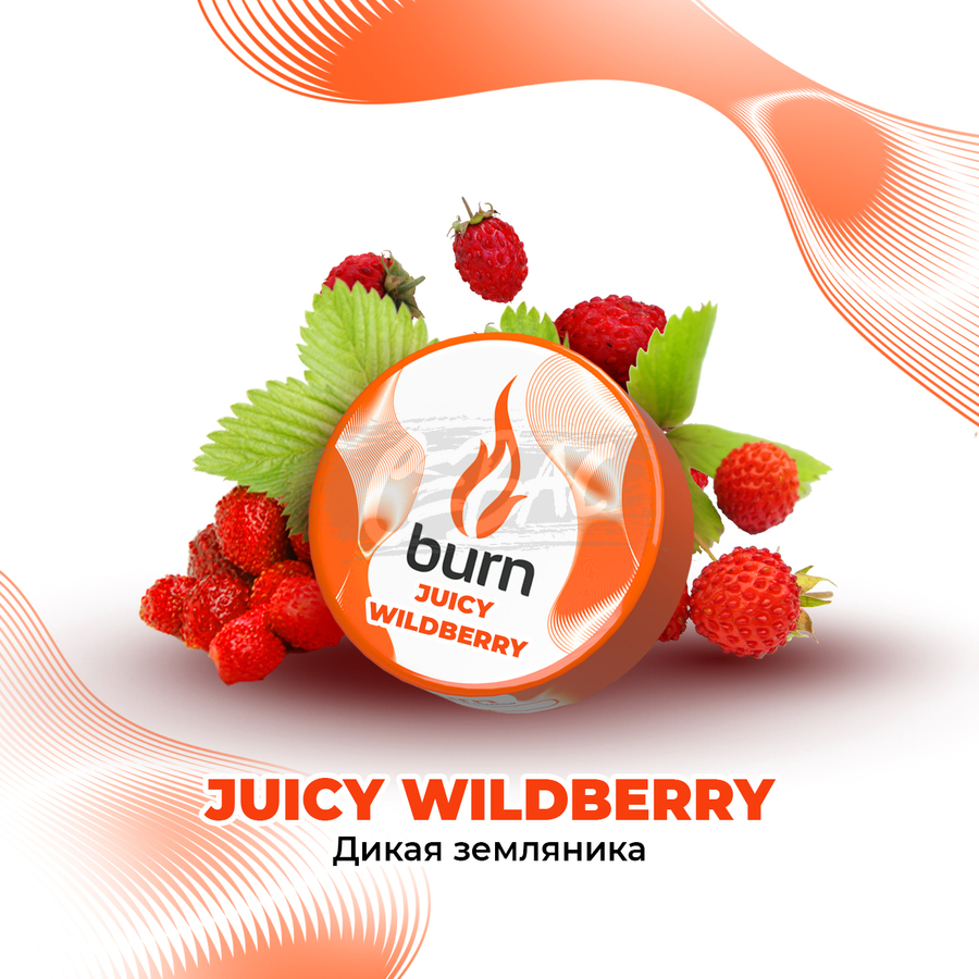 Juicy20Wildberry_Sevas Табак для кальяна Burn Juicy Wildberry Земляника 25гр
