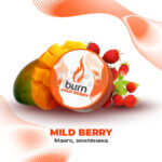 Табак для кальяна Burn Mild Berry Манго с лесными ягодами 25гр