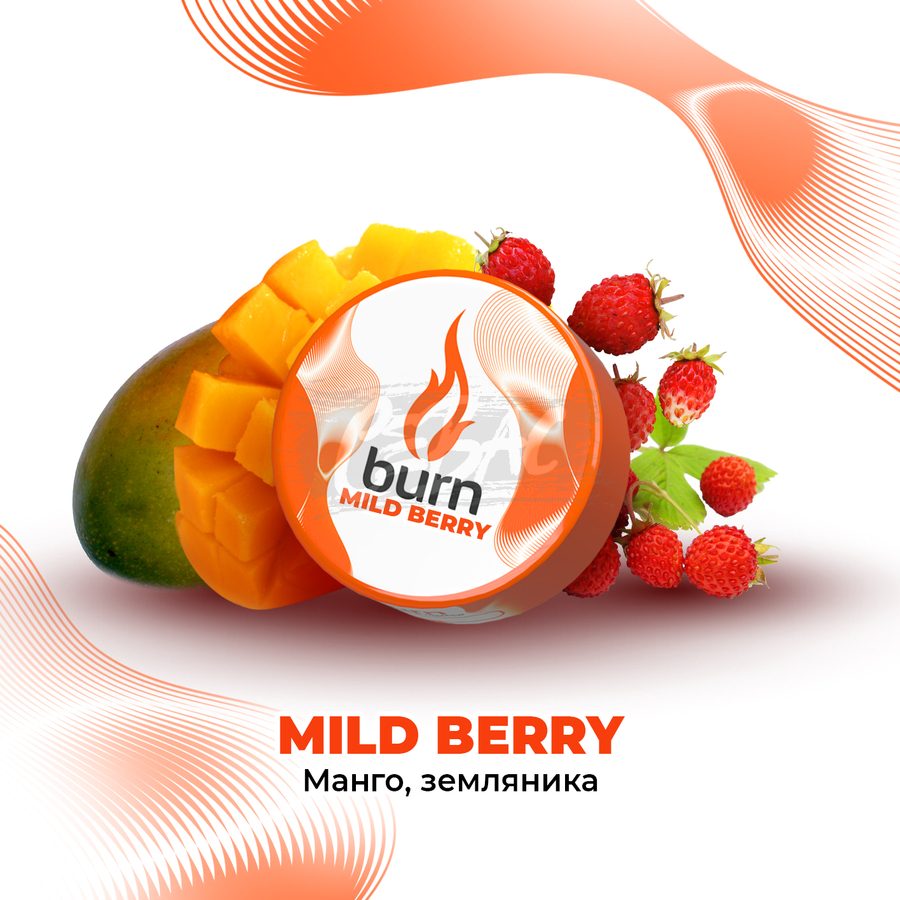 Mild20Berry_Sevas Табак для кальяна Burn Mild Berry Манго с лесными ягодами 25гр